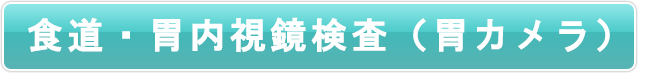 食道・胃内視鏡検査（胃カメラ）